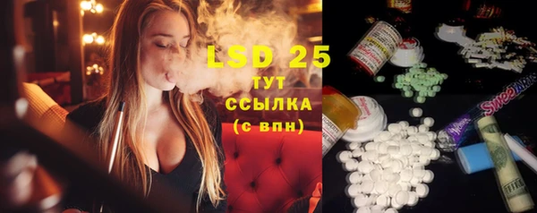 гашик Аркадак