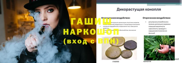 гашик Аркадак