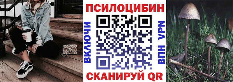 закладки Богородск Псилоцибиновые грибы Psilocybine cubensis